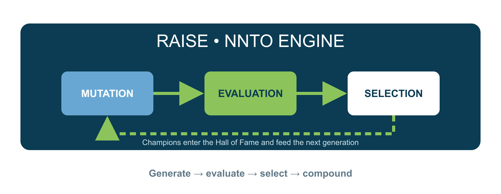 NNTO process: model generation, mutation, evaluation and selection