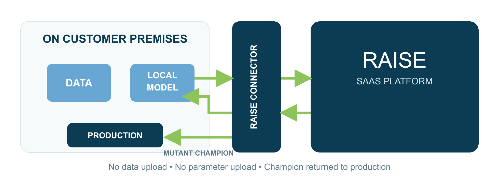RAISE integration diagram with data and model kept in the customer environment