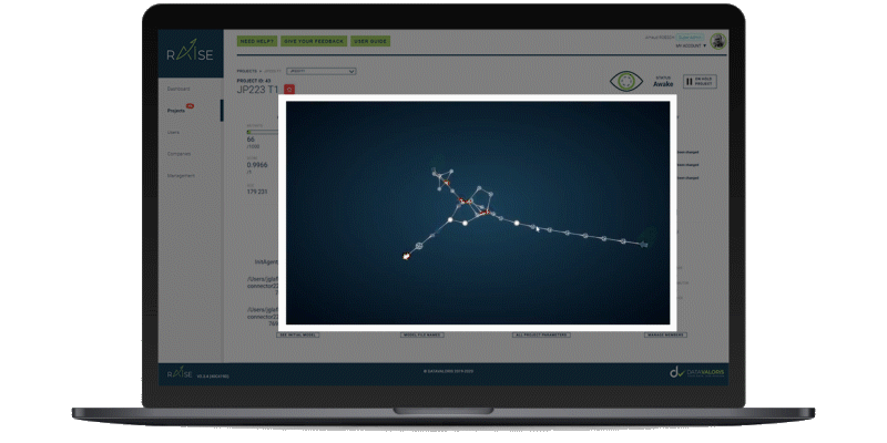 RAISE interface showing the evolution of a deep learning model